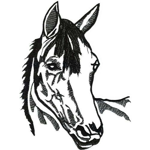 Horse Head Embroidery Design